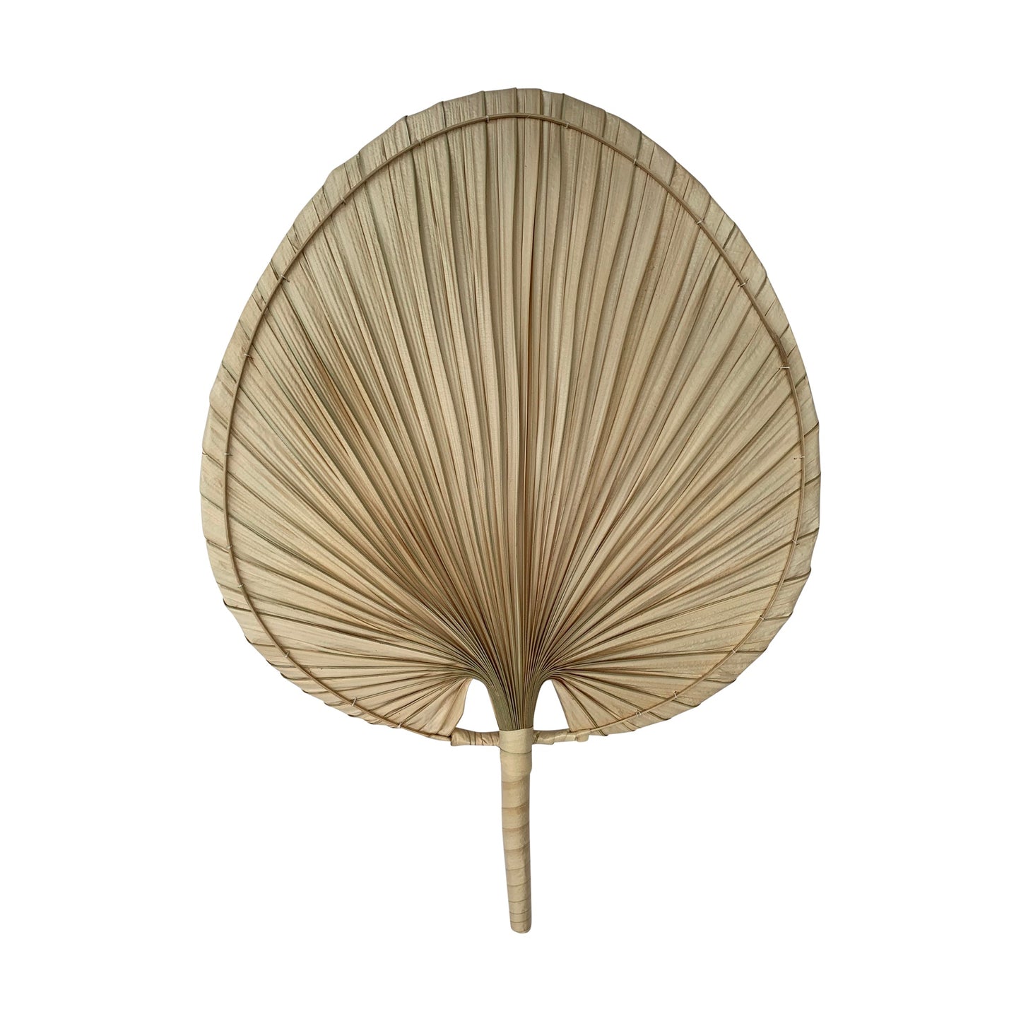 Wandfächer Palmleaf natur 54 cm - kleinstadtleben concept store